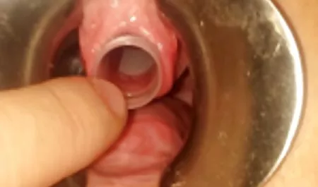 긴장을 내 포르노는 예쁜 여자에서 스타킹 새 아빠